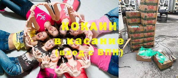 спайс Алзамай