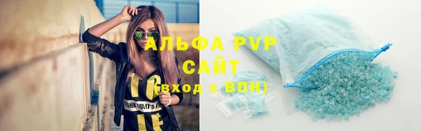 стаф Алексин