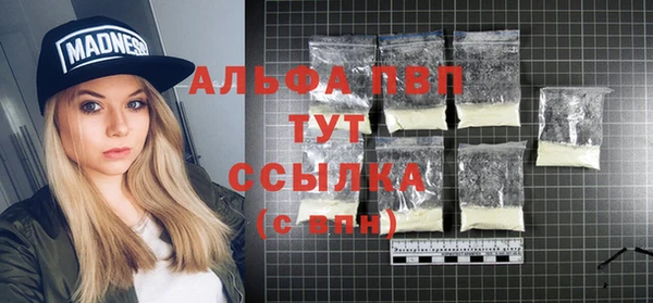 стаф Алексин