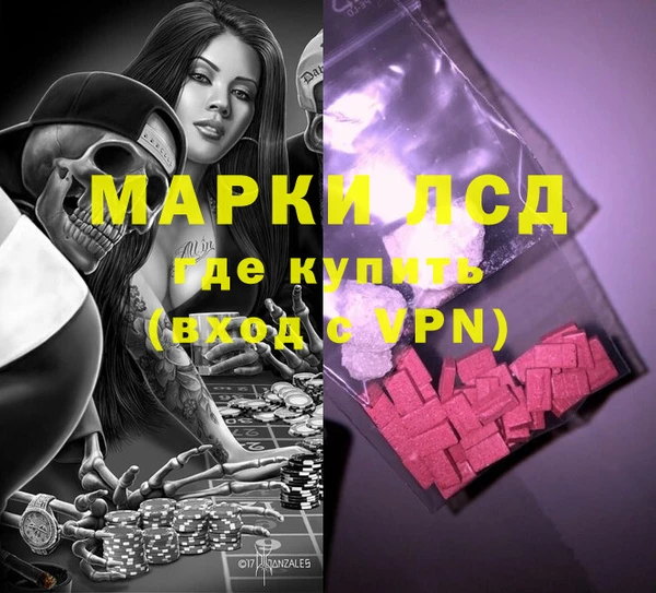 стаф Алексин