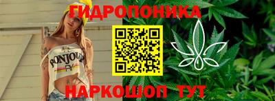 прущие крисы Комсомольск-на-Амуре