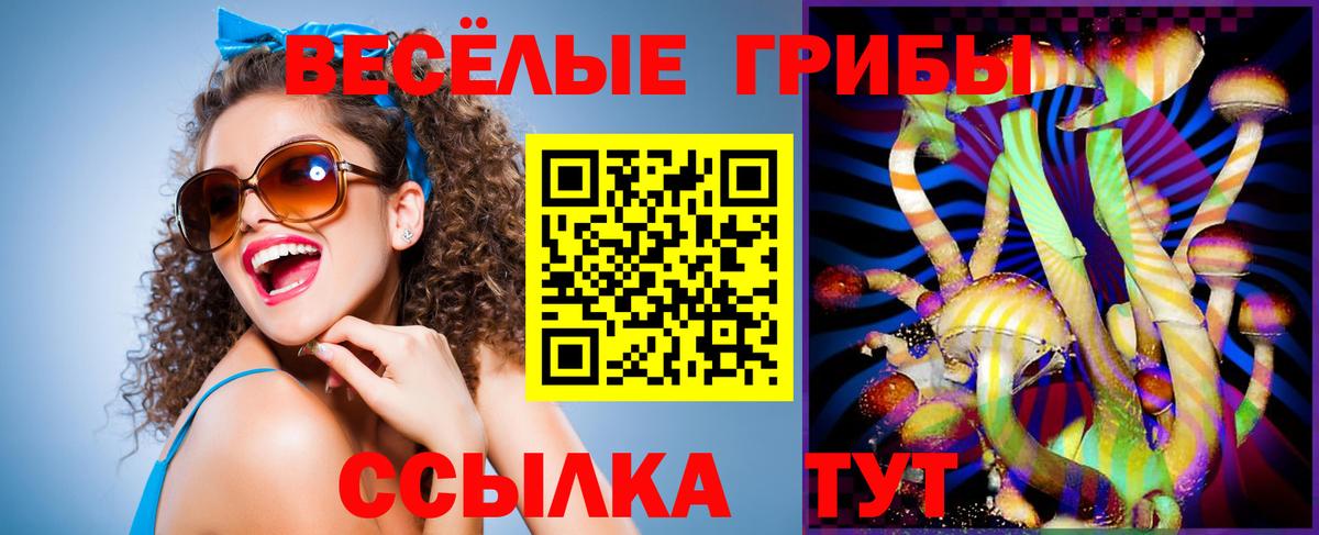 Кизилюрт  Галлюциногенные грибы ЛСД  Вход с VPN 