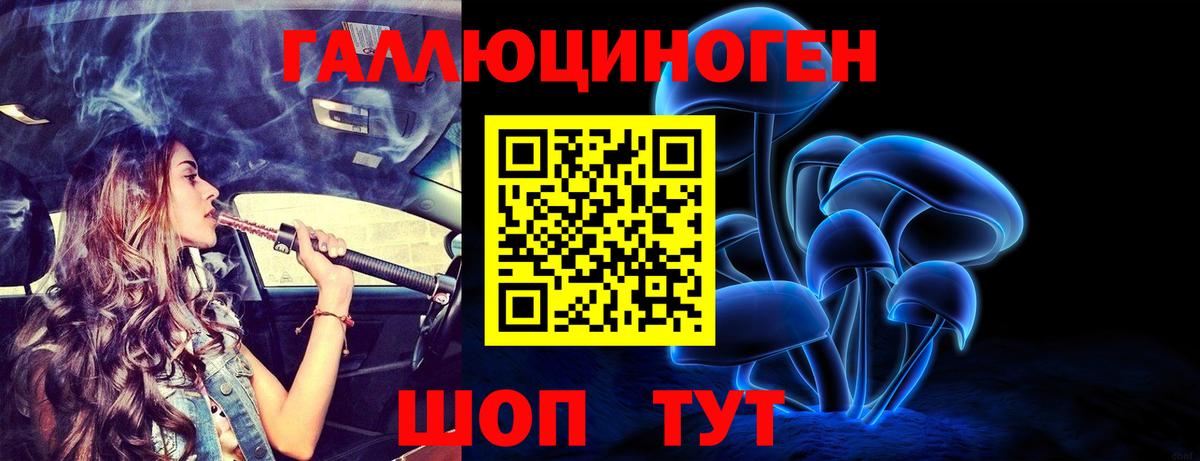 Псилоцибиновые грибы Psilocybe Кизилюрт
